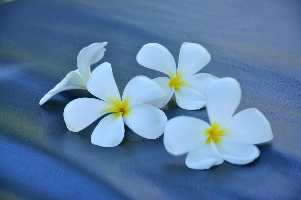 Shangri-Lanka Villa เบนโตตา ภายนอก รูปภาพ